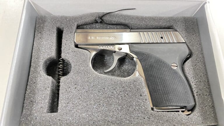Seecamp LWS 380 Stainless 380 ACP Pistol for sale